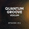 Vexlum - Quantum Groove 014
