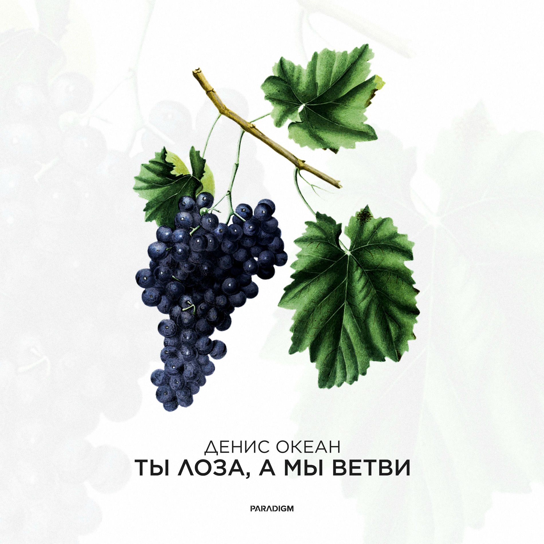  Денис Океан - Ты Лоза, а мы ветви
