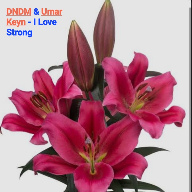  DNDM & Umar Keyn - I Love Strong