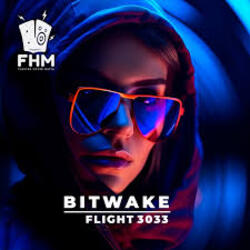  Bitwake - Flight 3033