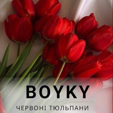  Бойки - Червоні тюльпани