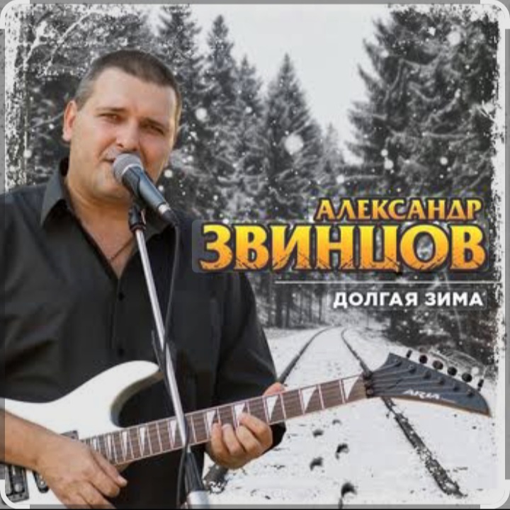  Александр Звинцов - Долгая Зима