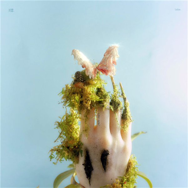  Liu Lian - Drop It High