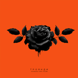  kavabanga Depo kolibri - Троянди