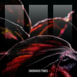 Croatia Squad - Don't Ever Look Back