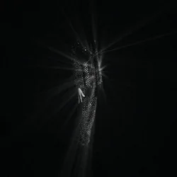 bbno$ - diamonds are forever