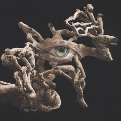 �����, ����� � ������������