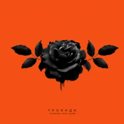 kavabanga Depo kolibri - �������