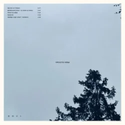 DOVI & alyona alyona - �������� (KARMV REMIX)