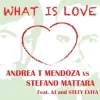 Andrea T Mendoza vs. Stefano Mattara feat. AJ - What Is Love (Radio Edit)