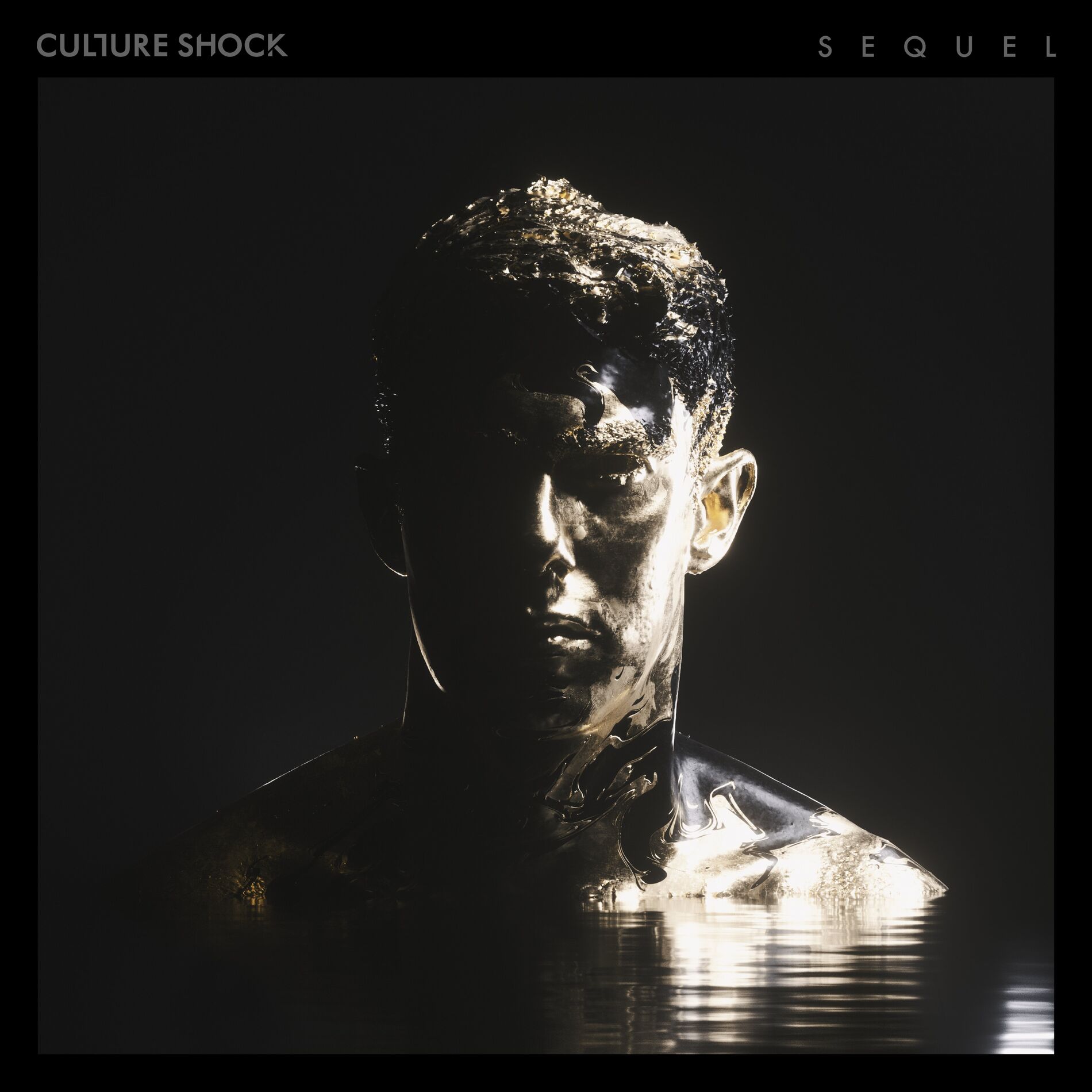  Culture Shock - Flight Path