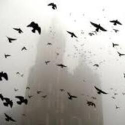  ДДТ - На небе вороны