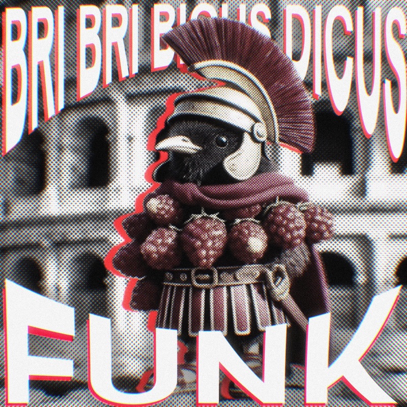  DJ Rio, Oxyzenk, Pxlterror Funk - Bri Bri Bicus Dicus Funk