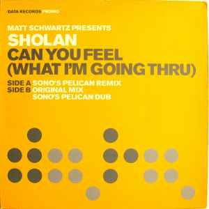 Cover Matt Schwartz pres. Sholan - Can You Feel