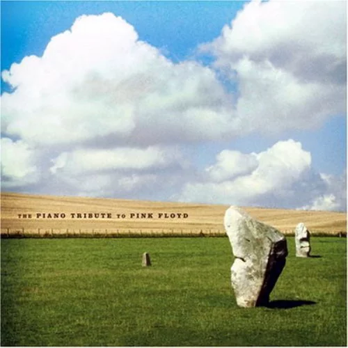  David Ari Leon - Comfortably Numb