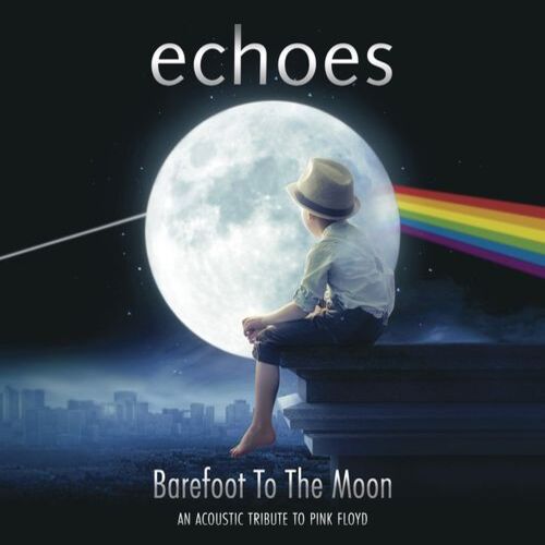  Echoes - Shine on you crazy diamond