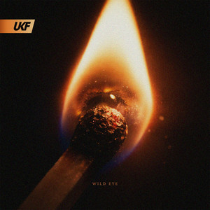  Blooom & JYXE - Wild Eye