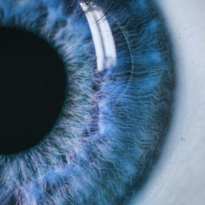  Vibfy - Lines Fade Away