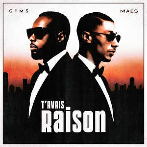  GIMS & Maes - T'avais raison
