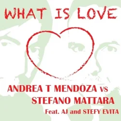 What Is Love (Radio Edit)