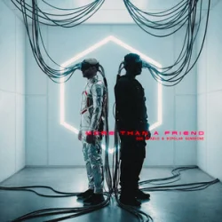 Don Diablo & Bipolar Sunshine - More Than A Friend