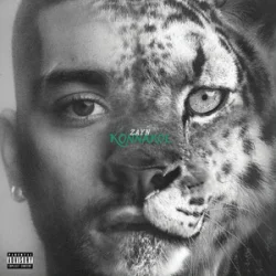 ZAYN - Die For Me