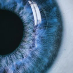 Vibfy - Dont Fade Away