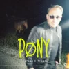 Freischwimmer - Pony