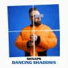 Shnaps - Danсing shadows