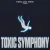 Cover Niklas Dee & TUN - Toxic Symphony