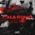 Cover BALVICH - Chasing Dreams