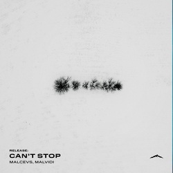  MALCEVS, Hrederik, MALVIDI - Addiction