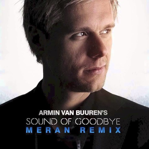  Armin van Buuren - The Sound Of Goodbye (Radio Edit)