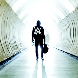  Alan Walker - Faded (The Stickmen Project Remix)