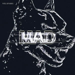  Will Sparks - Mad