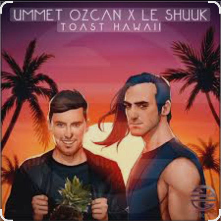  Ummet Ozcan & Le Shuuk - Toast Hawaii