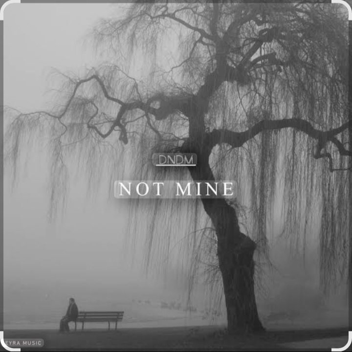  DNDM - Not Mine (Extended)
