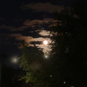  ALEKCION - Ніч кохання