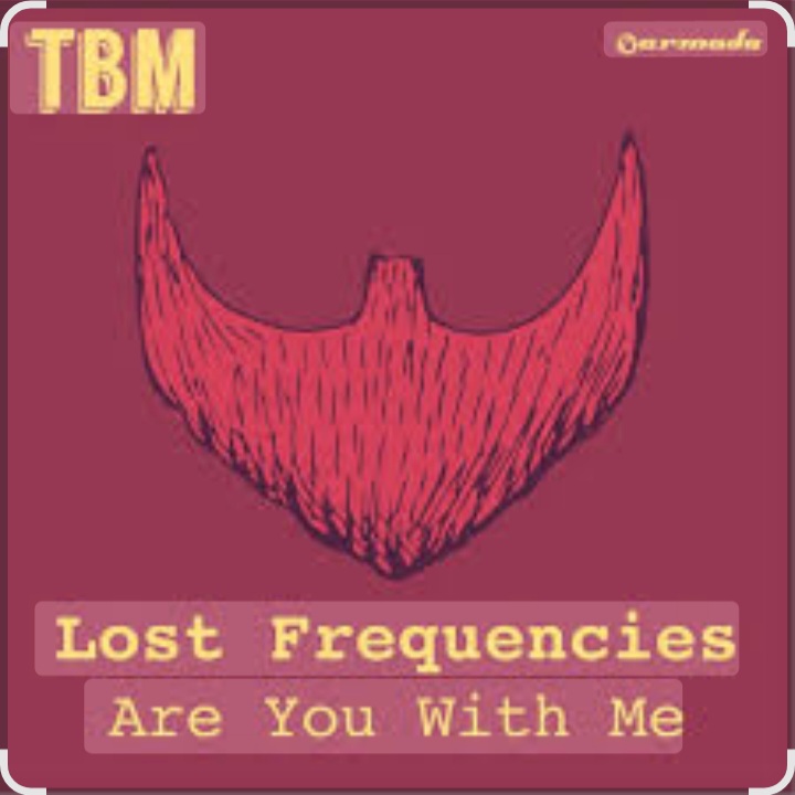  Lost Frequencies - Are You With Me