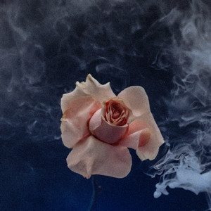  Valeriia Vovk - Сигарети