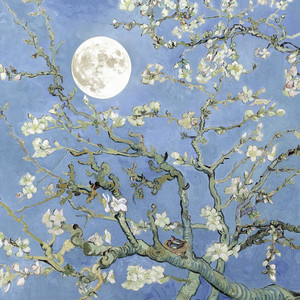  JVKE & JEON SOMI - moonboy