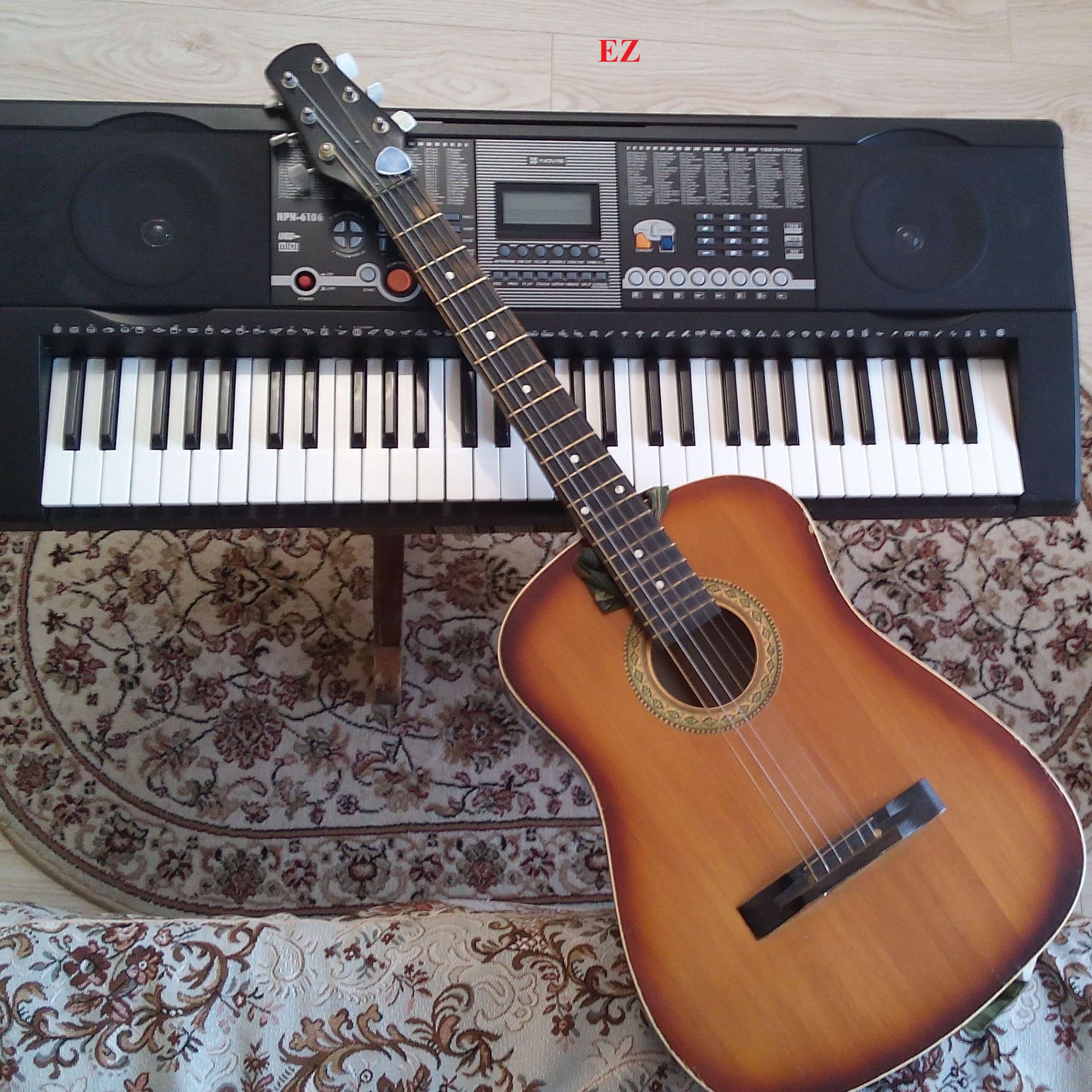 Cover EiZ - Shake lone Guitarist