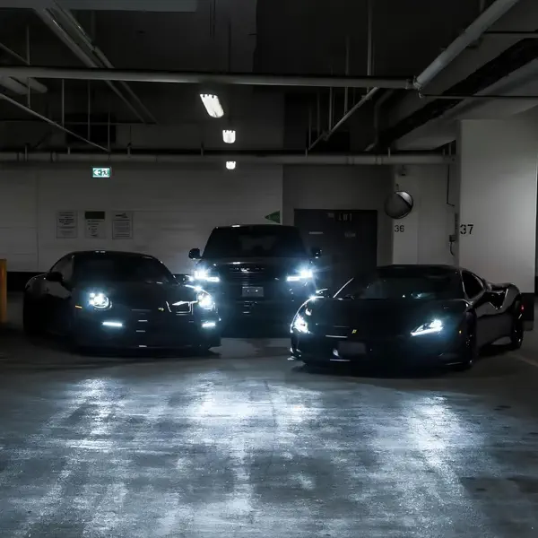  TRAP MAFIA HOUSE - No Rush