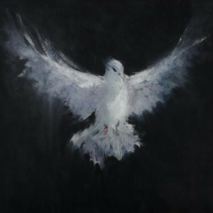  Evo 28 - Funk Spirit