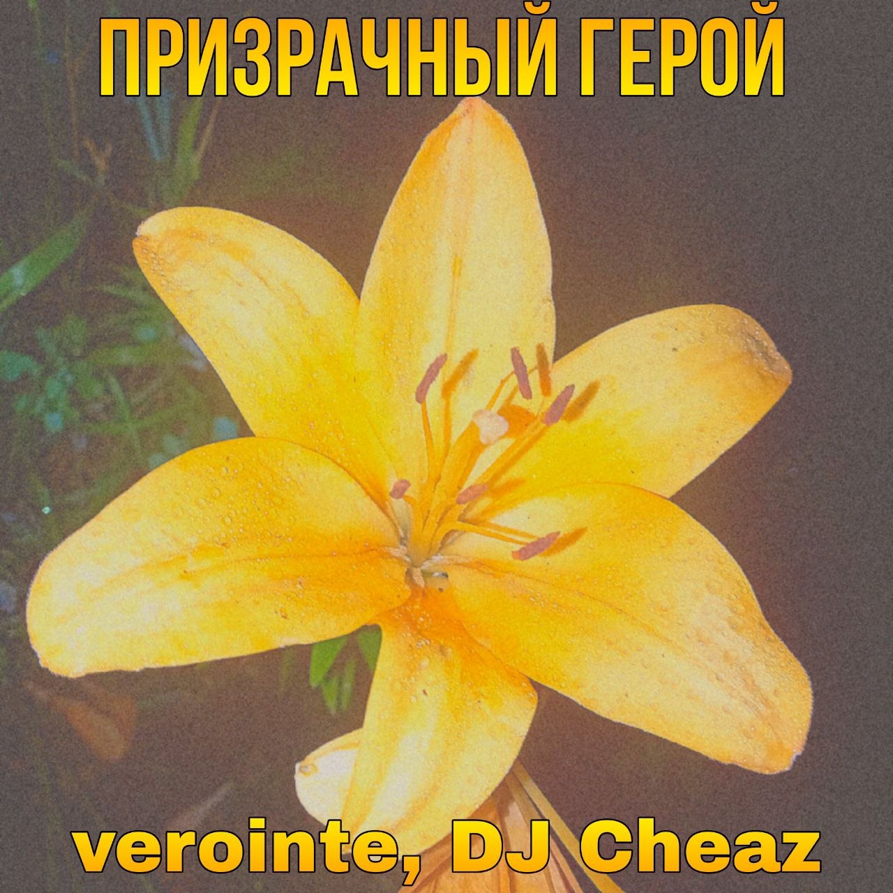 Cover Verointe (prod. DJ Cheaz) - Призрачный герой