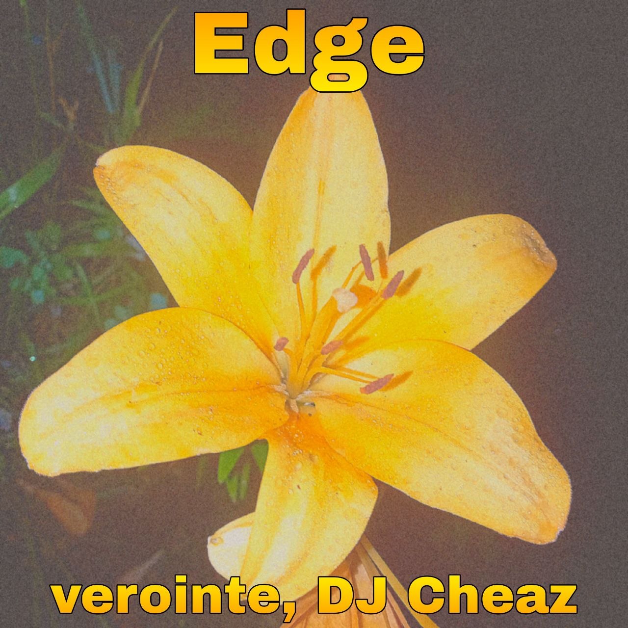 Cover Verointe (prod. DJ Cheaz) - Edge