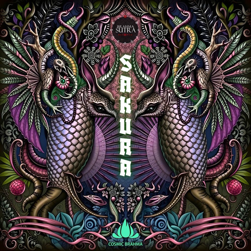  Cosmic Brahma - Sakura