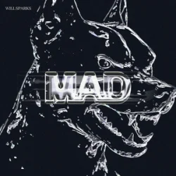 Will Sparks - Mad