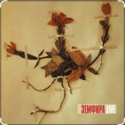 ���� �������������