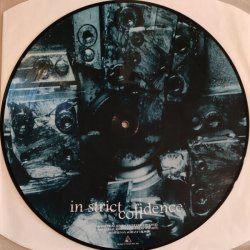 Truthlike (Found Amplitude Remix By In Strict Confidence)